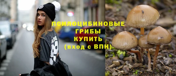 метадон Михайловск