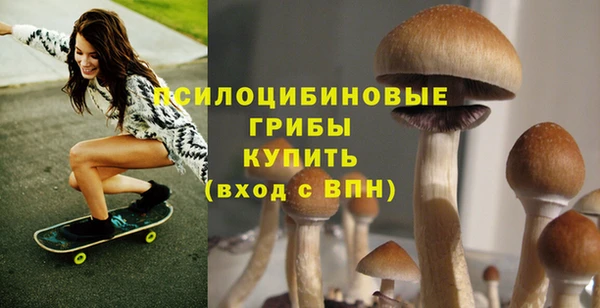 метадон Михайловск